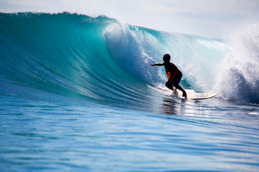Trend Surfing as a Business Model - Robertson Lowstuter, Inc.