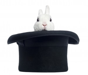 Rabbit in Top Hat